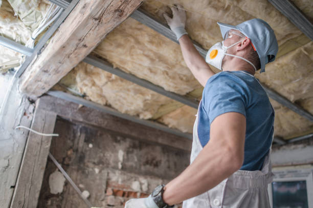 Best Insulation Maintenance and Repair in Florence, MS